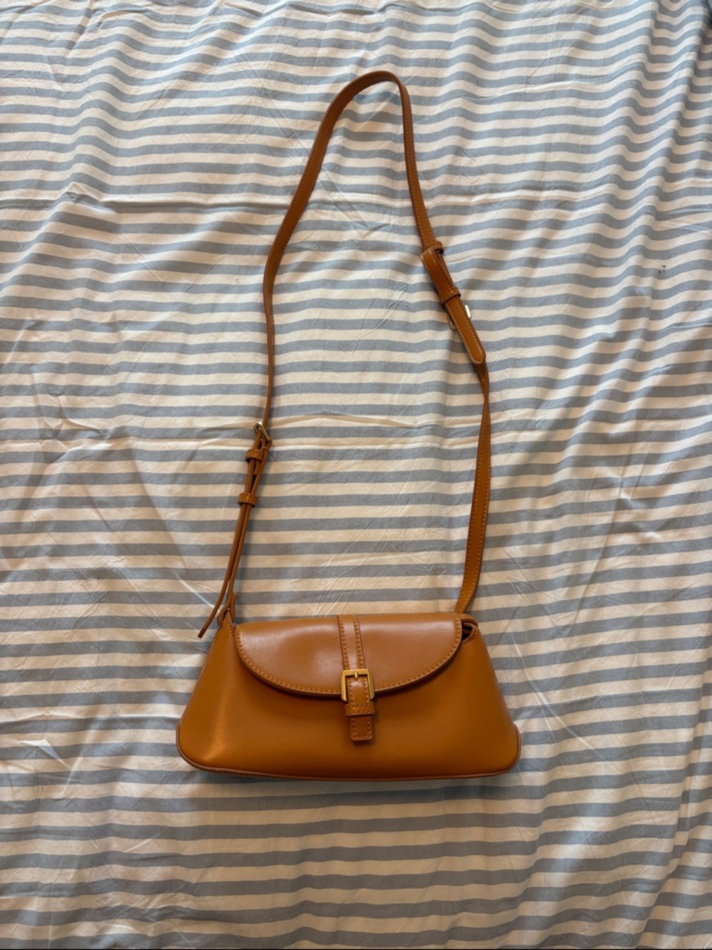 Charles & Keith leather bag